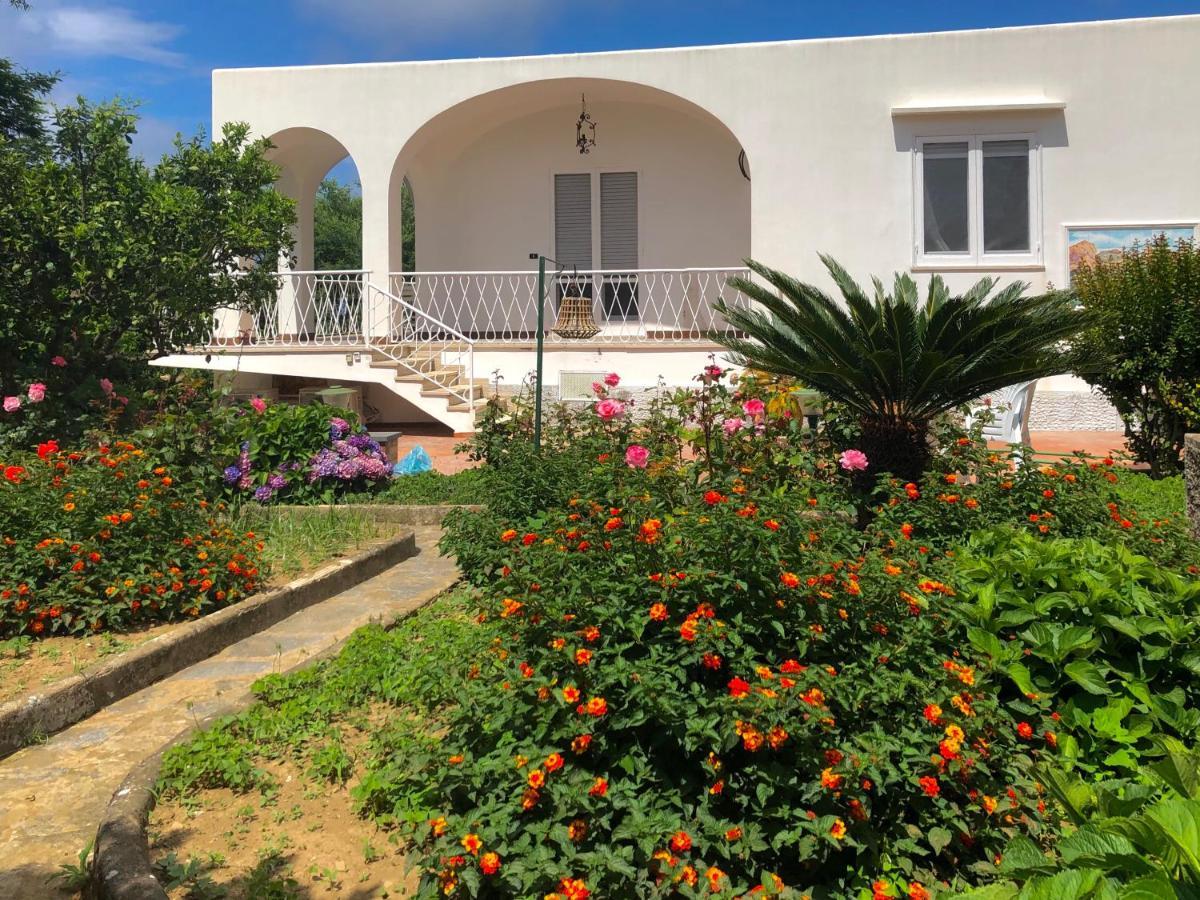 Villa Catenacci Anacapri Esterno foto